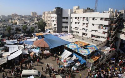 Body Of Israeli Hostage Recovered Near Shifa Hospital In Gaza, IDF Reports oan