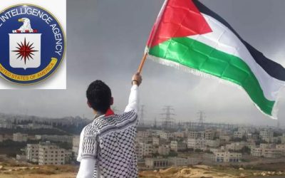 Senior CIA Official Posts, Then Deletes Pro-Palestine Content