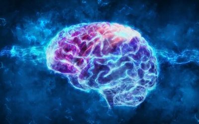 Contraceptives May Slow Brain Development And Increase Risk-Taking Behavior In Teens, Study Suggests