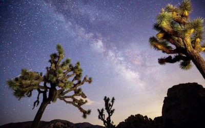 Scientists Baffled By Origins Of Powerful ‘Cosmic Ray’ Discovered In Distant Space