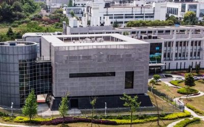Top WHO Consultant Working For US Intelligence Helped Downplay COVID Lab Leak Theory: Official