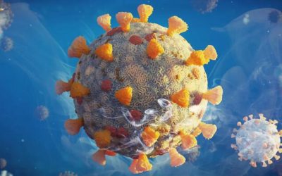 New COVID Variant Spreading In US, Experts Explain Risks (Or Lack Thereof)
