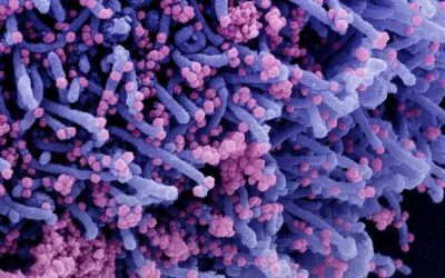 Natural Immunity Better Than Protection From COVID-19 Vaccination: Study