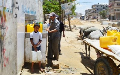 WHO Warns That Disease Poised To Kill More In Gaza Than Bombs
