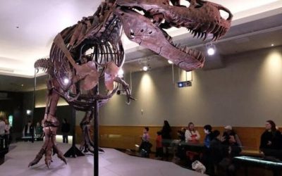 Trannysaurus Rex: The Activist Academics ‘Queering’ Dinosaurs
