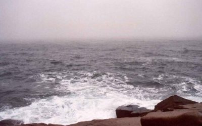 The Navy: Dead In The Water?