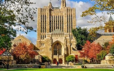 Yale Awards 80 Percent Of Grades In The A Range
