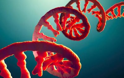 Self-Amplifying RNA Shots Are Coming: The Untold Danger