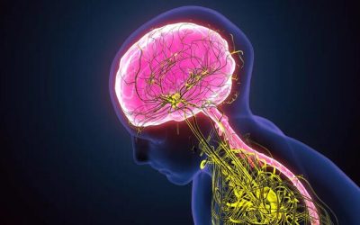 Experts Predict Mind-Controlled Devices May Be Common By 2040s