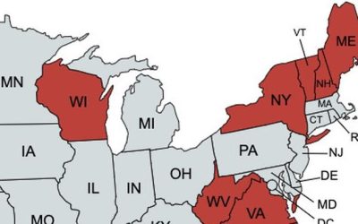 CO, ME Just The Start Of Trump Ballot-Blocking: These 20 States Have Suits In Progress