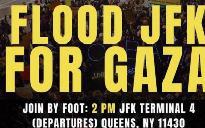 Potential Pro-Palestinian Mob Threatens To “Flood” JFK Airport On New Year’s Day