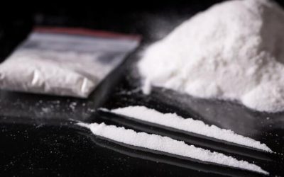 50 Bags Of Cocaine Seized From Belgian Socialist Minister’s Office, Staffer Arrested