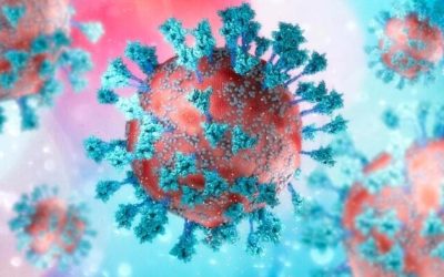 How The COVID Virus Defends Itself From The Human Immune System