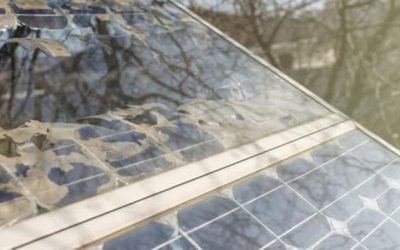 The Cold Hard Truth About Renewable Energy Adoption