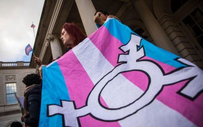 University Of Michigan’s Women’s Water Polo Club Team Allows Trans Athlete, 31, To Compete In National Championship oan