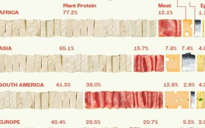 Visualizing Daily Protein Sources By Region