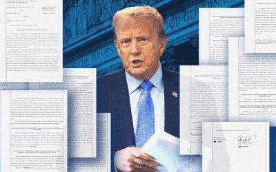 Everything You Need To Know As Trump Trial Heads To Verdict