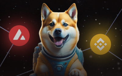 New Meme Coin Dogeverse Raises $13M in ICO – the Next Dogecoin?