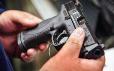 Convicted Non-Violent Felons Can Own Guns, Ninth Circuit Rules