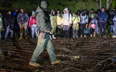 Southern US Border Sees 143% Jump In Imported Malaria: CDC