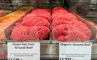 Rancher: Record High Beef Prices May Be ‘New Norm’