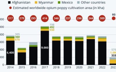 Taliban Power-Grab Over Opium Production Sparked Surge In Fentanyl Use