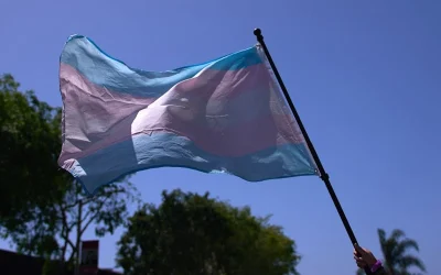 N.Y. County Passes Law Restricting Trans Women From Competing On Female Teams At County-Run Sports Venues oan