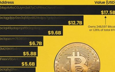 These Are The 15 Most Valuable Bitcoin Addresses