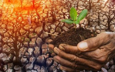 BBC Climate Disinformation Reporter Attacks Kenyan Farmer