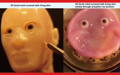 Japanese Scientists Create Smiling Robot Using ‘Living’ Skin oan