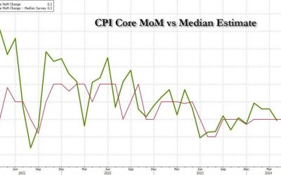 CPI Preview: "Optimism For A Low Print"