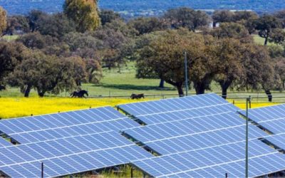 Europe’s Top Wind And Solar Builder Walks Back Growth Plans