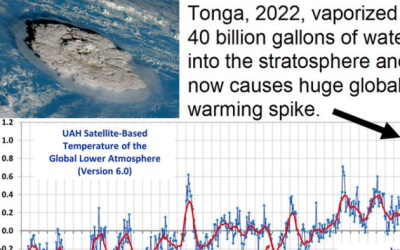 Tonga Volcano Contributed To Global Warming, Not Cow Farts Or Taylor Swift’s Private Jet