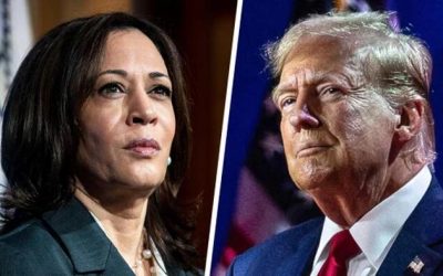 Another Dem-Oversampled Poll Still Has Trump Beating Harris 48-45