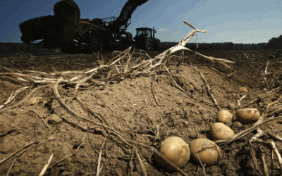 Brussels Is Hellbent On Destroying European Farming