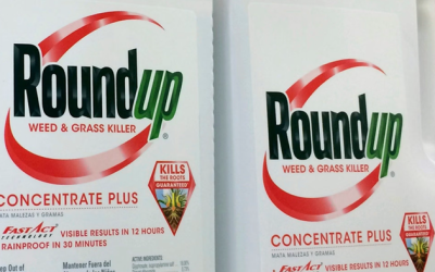 Bayer Shares Soar After Roundup Weedkiller Legal Victory In Philadelphia Court