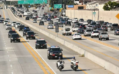 Pro-Palestine Protesters Shut Down 405 Freeway In Los Angeles, 8 Arrested oan