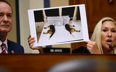 FOIA Docs Suggest Biden Admin Was Aware That Fauci’s NIAID Lied To Cover Up Cruel Beagle Experiments oan