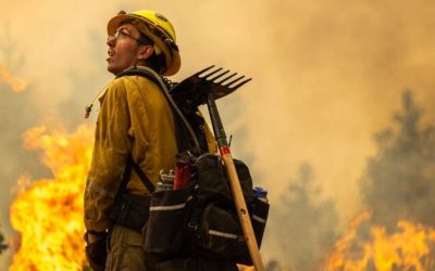 Raging California Wildfire Swells To 5th Largest In State History