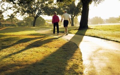 Walk/Don’t-Walk – In Which States Do Citizens Stroll The Most?