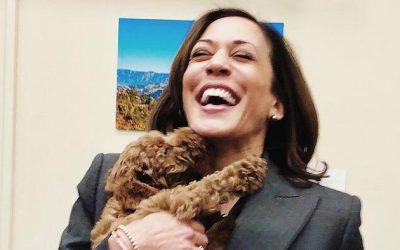 Kamala Campaign Claims She’s “Too Busy” To Do Any Interviews