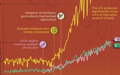 Charting 150 Years Of Corn, Wheat, & Soy Yields In America
