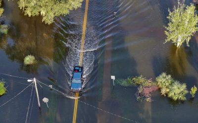 Death Toll Rises To Above 40 oan