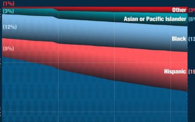 Visualizing US Population Racial Breakdown Since 1990