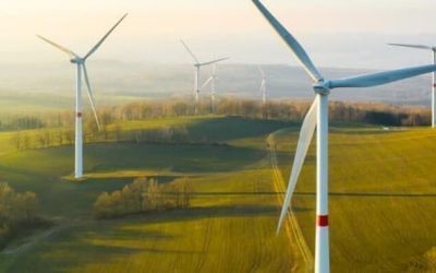 Solar And Wind Energy Prices Plummet To Record Lows