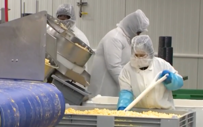 Feds Find Million In Cash While Investigating Staffing Firm Supplying Haitians To Charleroi, PA Food Factory