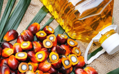 World’s Most Consumed Vegetable Oil Hits Two-Year High Amid Sticky Food Inflation