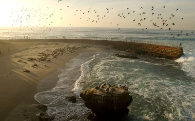 UCSD Now Requires All Undergrad Students To Take Climate Change Courses oan