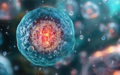 Biohacking To Better Health | zh