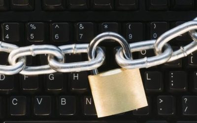 The FOIA Lady Pleads The Fifth